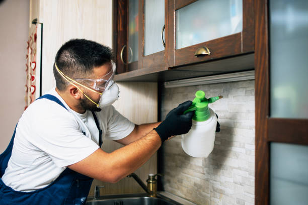Flea Control Services in Long Lake, IL