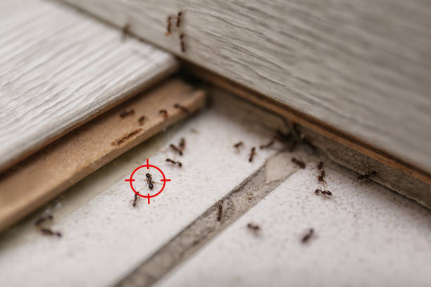 Long Lake, IL Pest Control Company