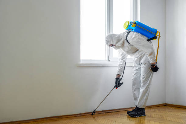 Best Pest Control Cost  in Long Lake, IL