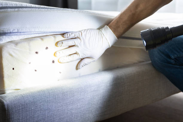 Best Best Pest Control Companies  in Long Lake, IL