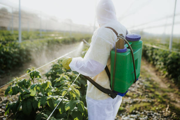 Best Mosquito Control Services  in Long Lake, IL